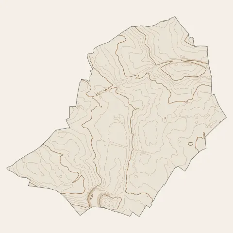 Damigny : courbes de niveau