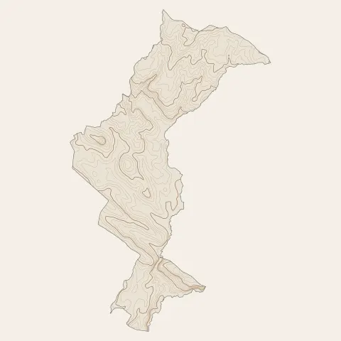 La Ferté Macé : courbes de niveau