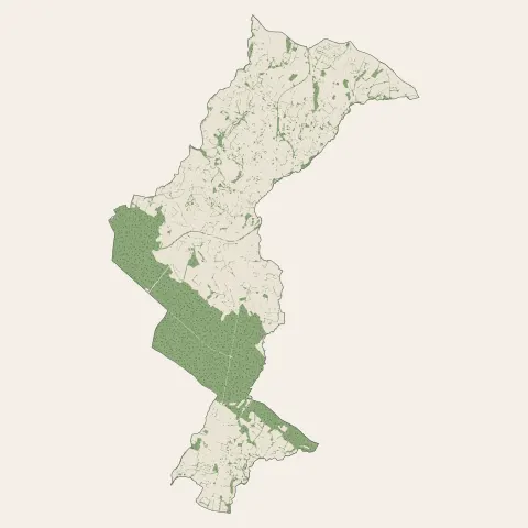 La Ferté Macé : bois, forêts et landes