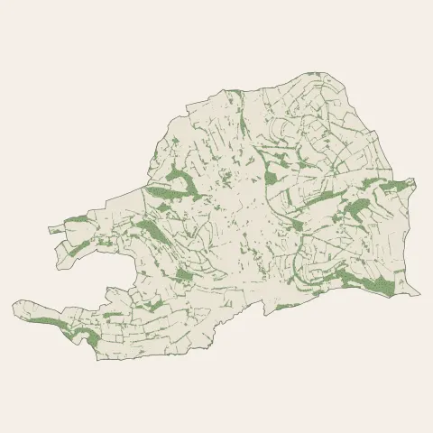 Vimoutiers : bois, forêts et landes