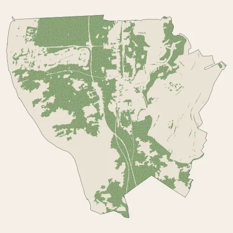 Camiers : bois, forêts et landes