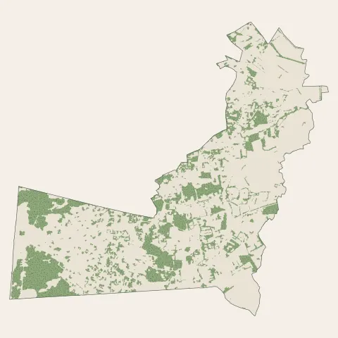 Cucq : bois, forêts et landes