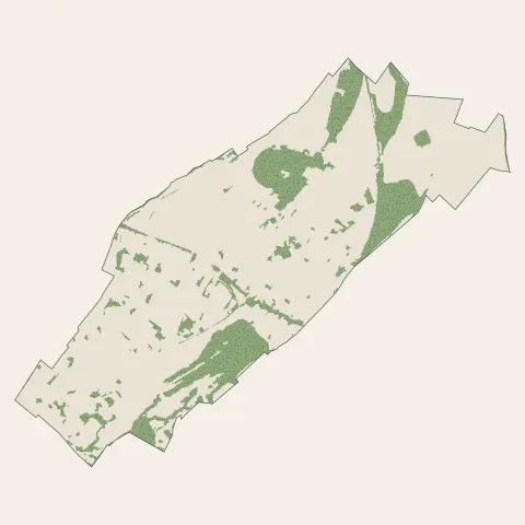 Haillicourt : bois, forêts et landes