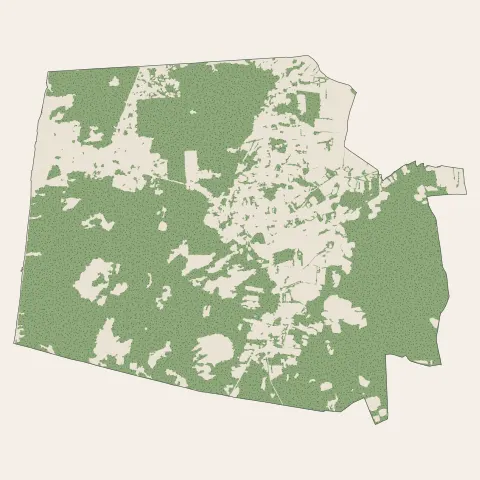 Merlimont : bois, forêts et landes
