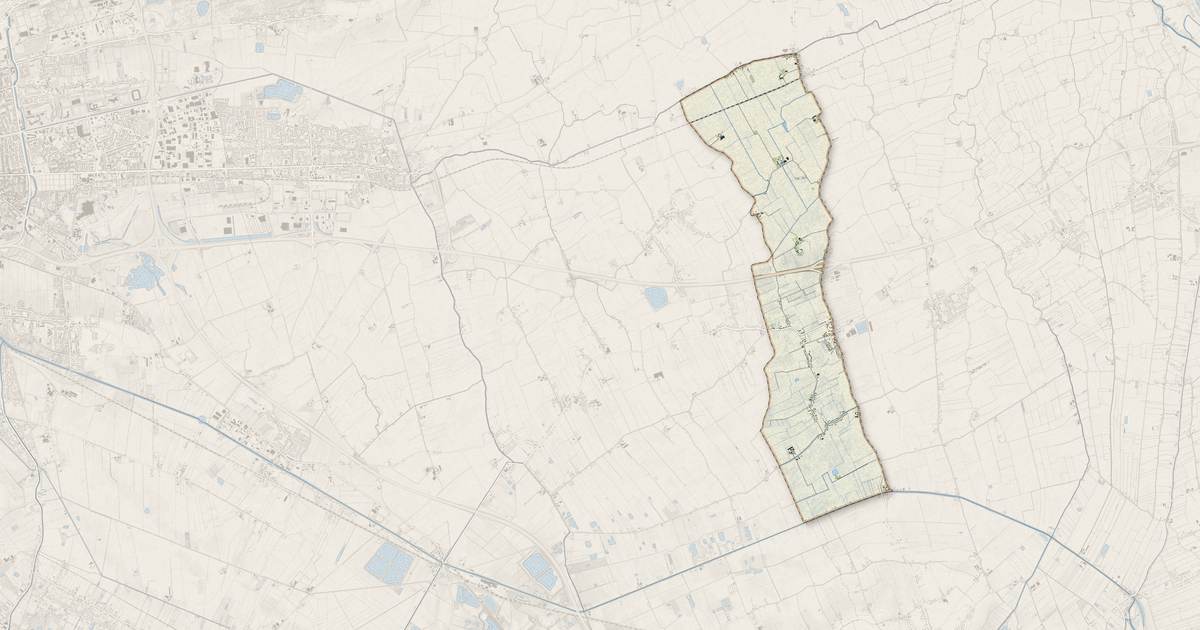 Portrait cartographique de Nouvelle-Église : relief, eau, forêts, bâti et voies, calculés à partir des données de l'IGN