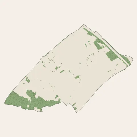 Racquinghem : bois, forêts et landes