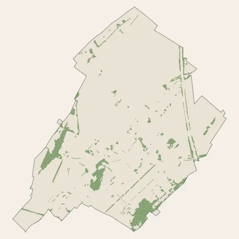 Sains-en-Gohelle : bois, forêts et landes