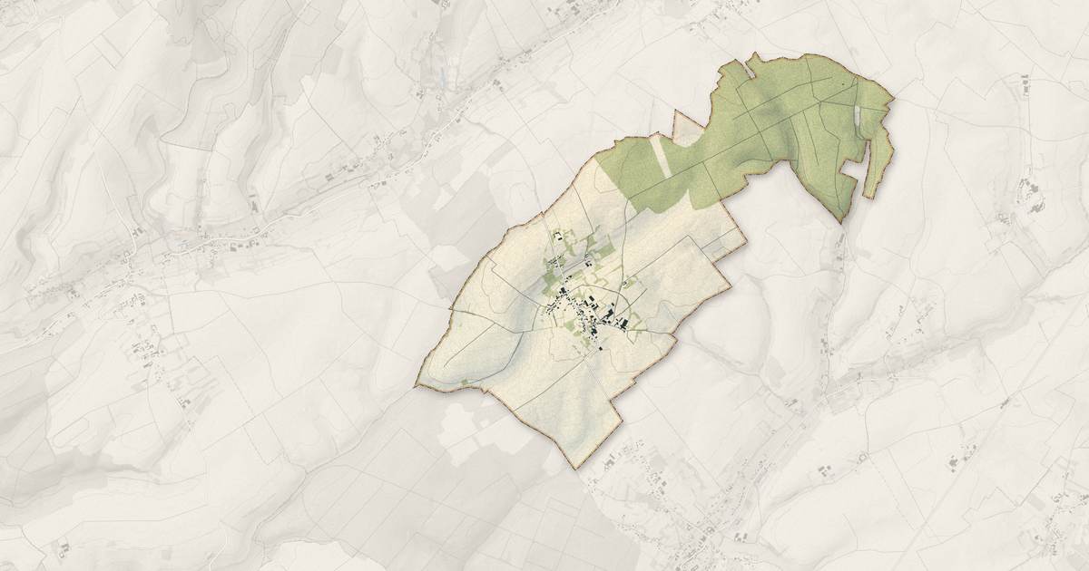 Portrait cartographique de Sains-lès-Fressin : relief, eau, forêts, bâti et voies, calculés à partir des données de l'IGN