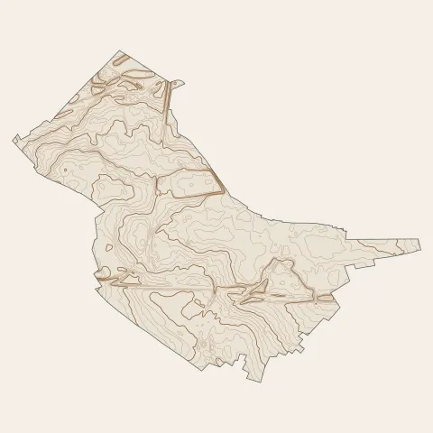 Sallaumines : courbes de niveau