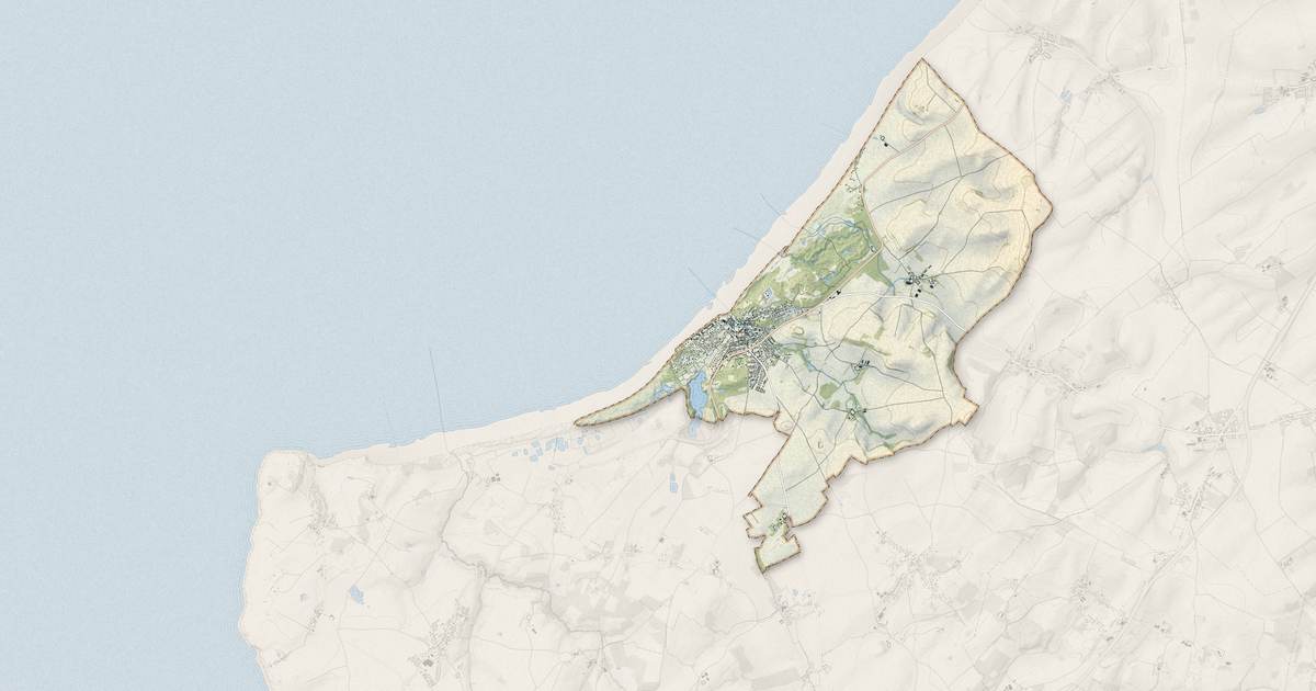 Portrait cartographique de Wissant : relief, eau, forêts, bâti et voies, calculés à partir des données de l'IGN