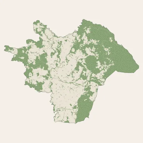 Ambert : bois, forêts et landes