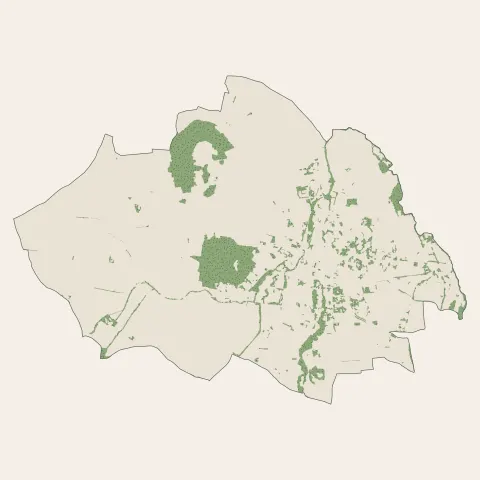 Billom : bois, forêts et landes