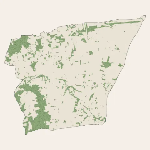 Cébazat : bois, forêts et landes