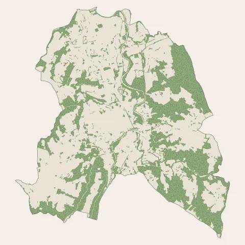 Courpière : bois, forêts et landes