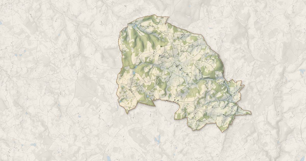 Portrait cartographique de Espinasse : relief, eau, forêts, bâti et voies, calculés à partir des données de l'IGN
