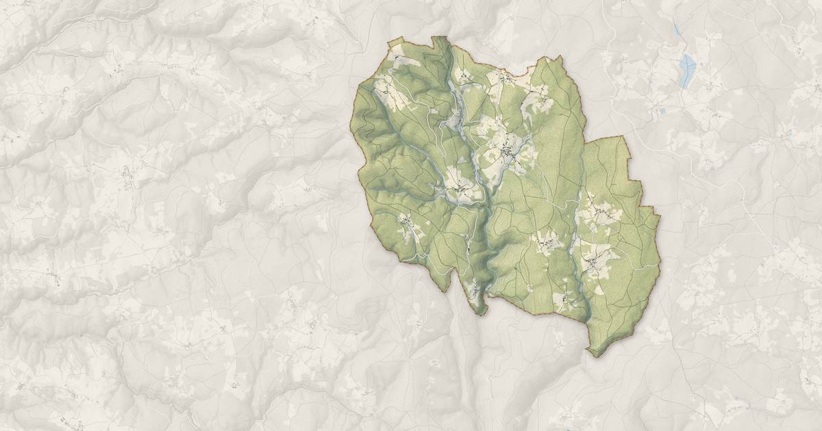 Portrait cartographique de Fayet-Ronaye : relief, eau, forêts, bâti et voies, calculés à partir des données de l'IGN