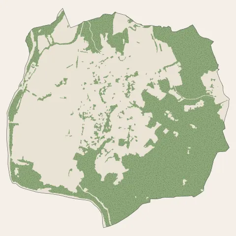 Mirefleurs : bois, forêts et landes