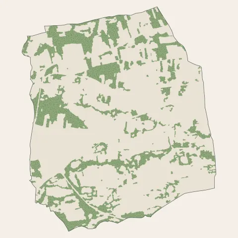 Mozac : bois, forêts et landes