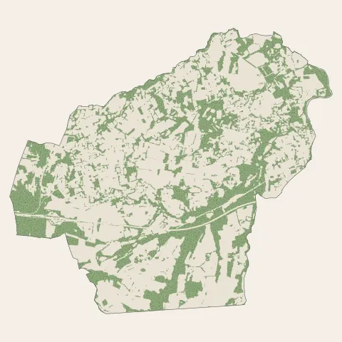 Orléat : bois, forêts et landes