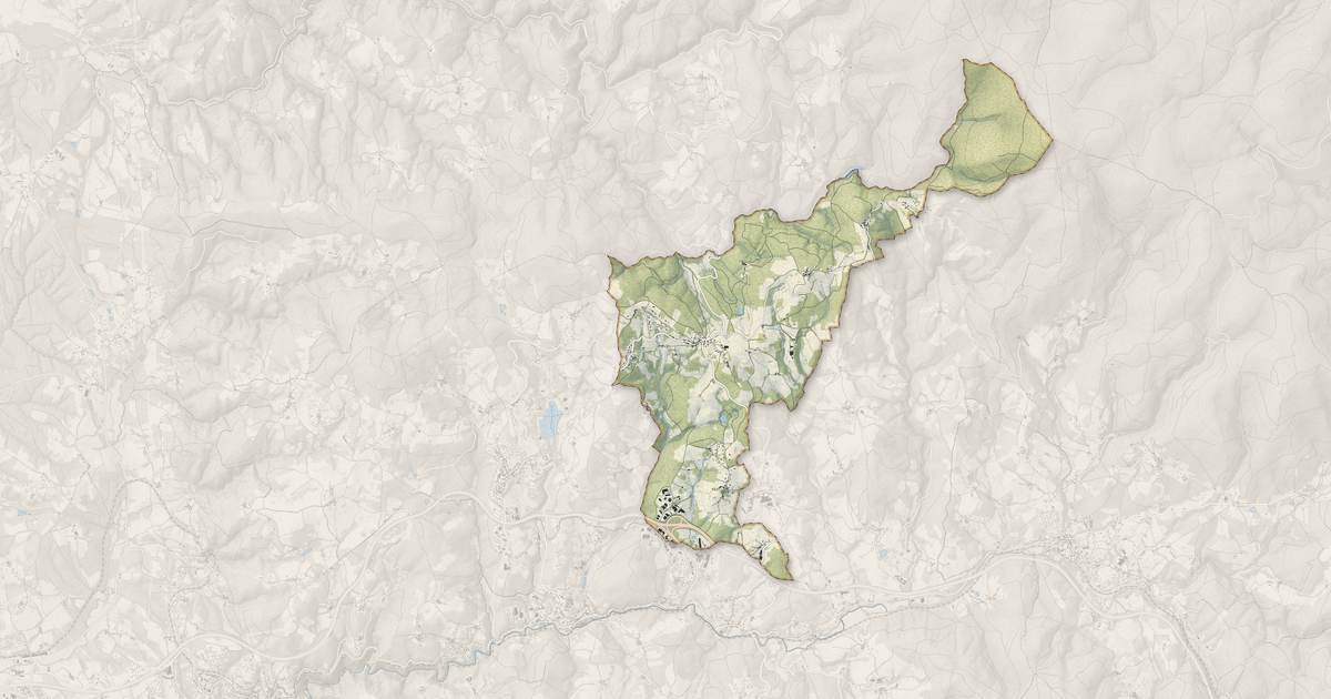 Portrait cartographique de Palladuc : relief, eau, forêts, bâti et voies, calculés à partir des données de l'IGN