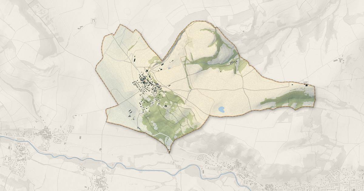 Portrait cartographique de Pardines : relief, eau, forêts, bâti et voies, calculés à partir des données de l'IGN