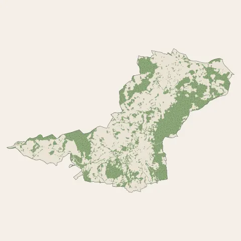 Romagnat : bois, forêts et landes