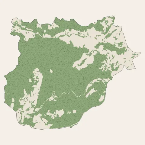 Royat : bois, forêts et landes
