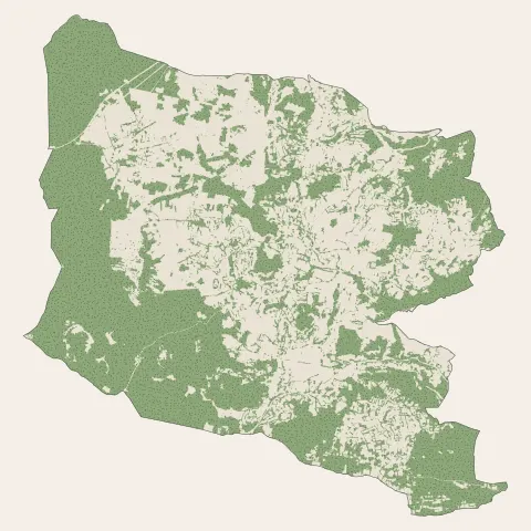 Saint-Genès-Champanelle : bois, forêts et landes