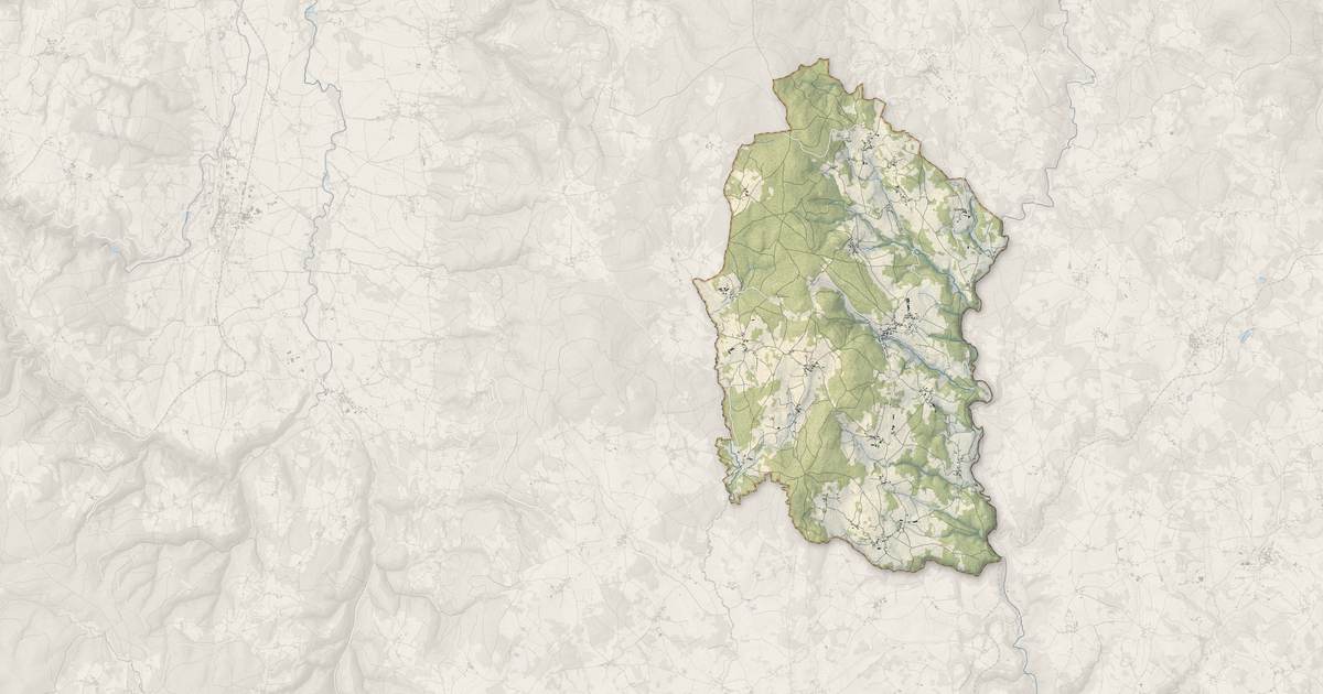 Portrait cartographique de Sauvessanges : relief, eau, forêts, bâti et voies, calculés à partir des données de l'IGN