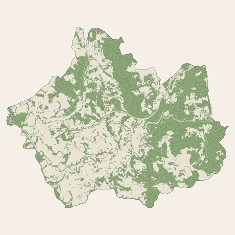 Thiers : bois, forêts et landes