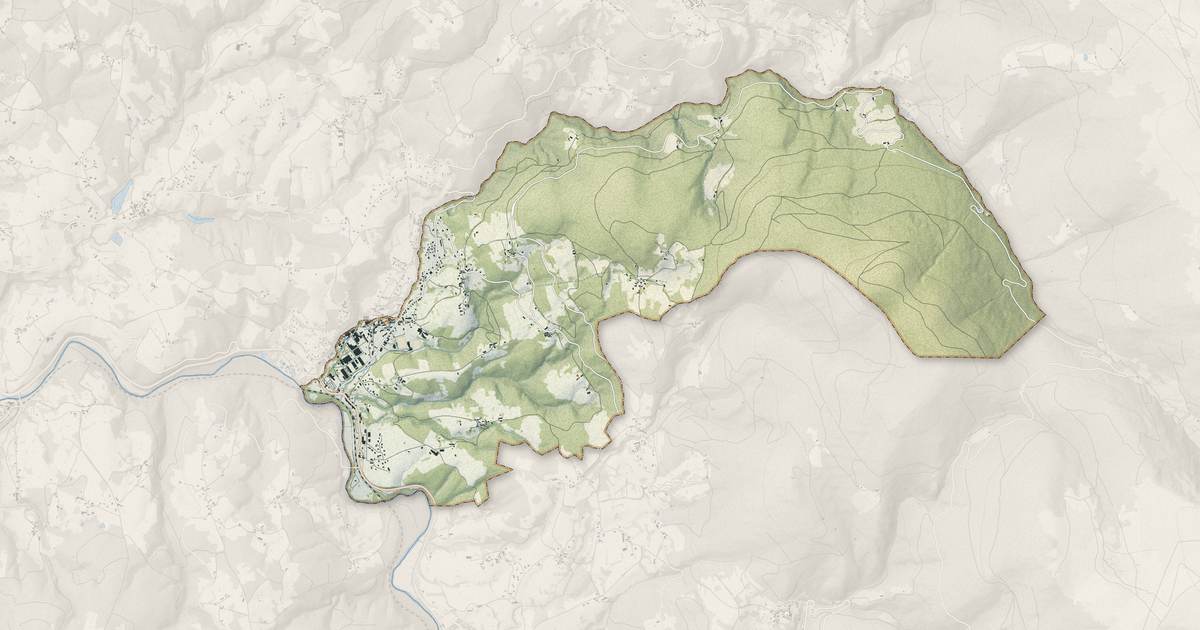 Portrait cartographique de Vertolaye : relief, eau, forêts, bâti et voies, calculés à partir des données de l'IGN