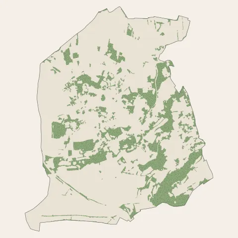 Veyre-Monton : bois, forêts et landes