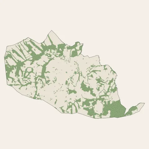 Ahetze : bois, forêts et landes