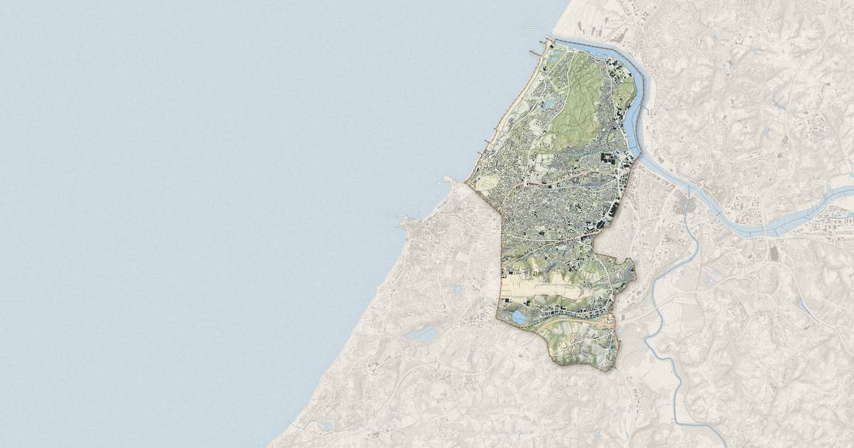Portrait cartographique de Anglet : relief, eau, forêts, bâti et voies, calculés à partir des données de l'IGN