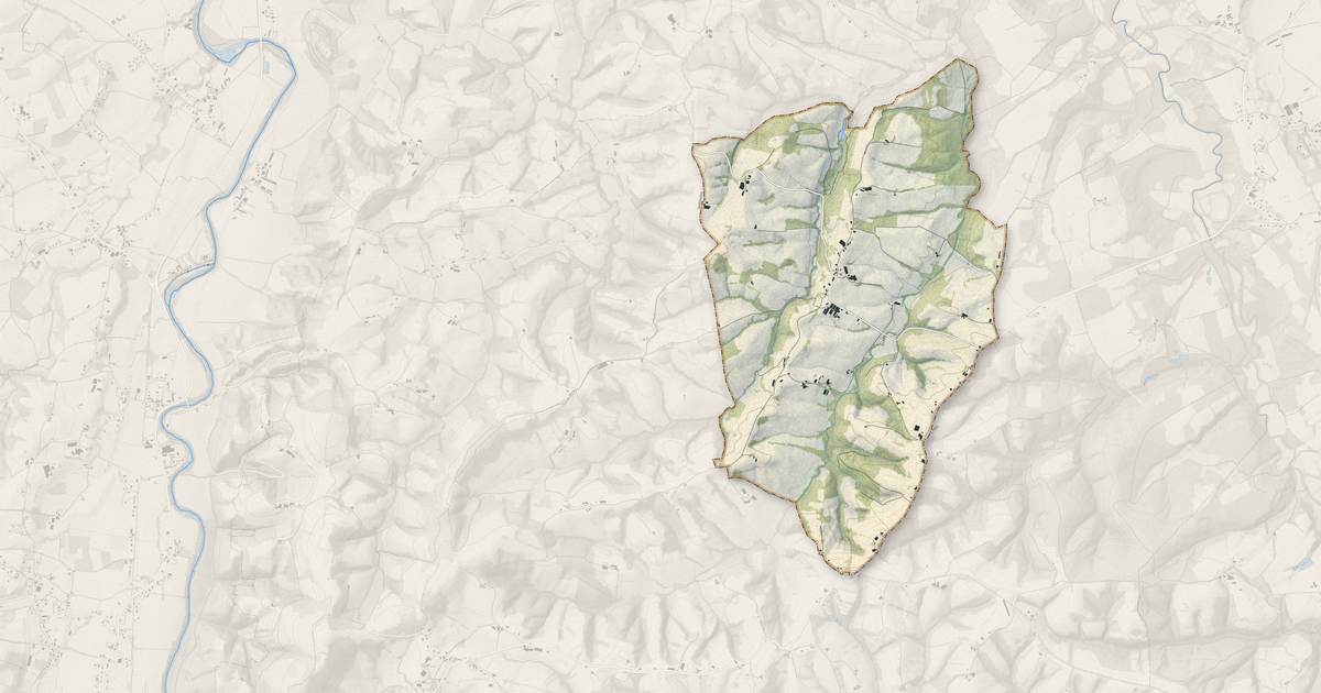 Portrait cartographique de Angous : relief, eau, forêts, bâti et voies, calculés à partir des données de l'IGN