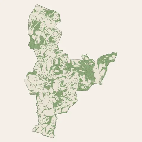 Arcangues : bois, forêts et landes
