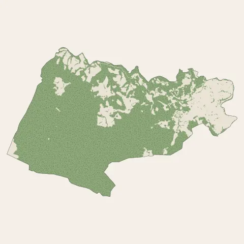 Arudy : bois, forêts et landes