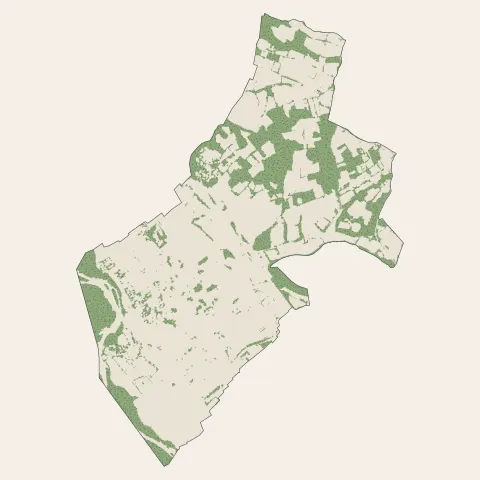 Assat : bois, forêts et landes