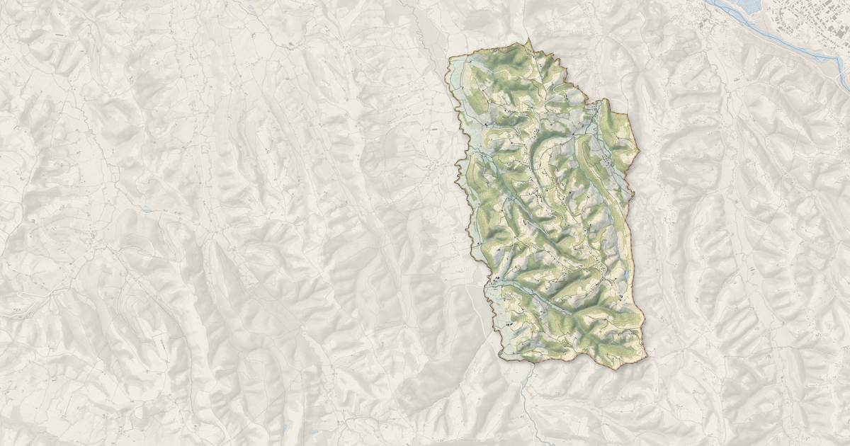 Portrait cartographique de Aubertin : relief, eau, forêts, bâti et voies, calculés à partir des données de l'IGN