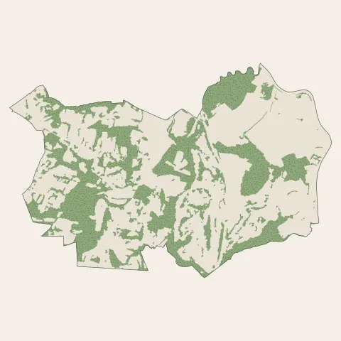 Bassussarry : bois, forêts et landes