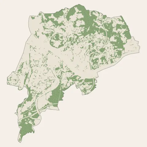Bayonne : bois, forêts et landes