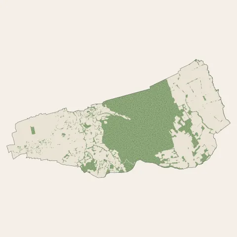 Bénéjacq : bois, forêts et landes