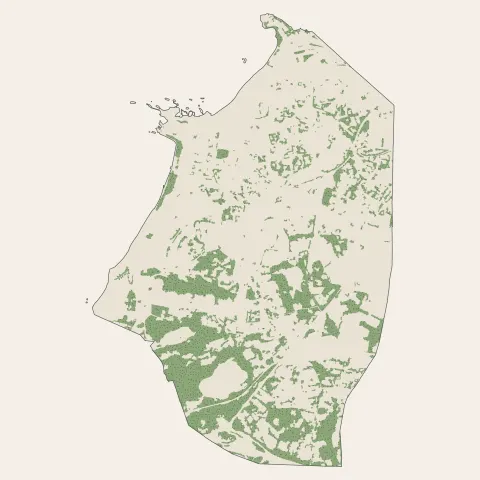 Biarritz : bois, forêts et landes