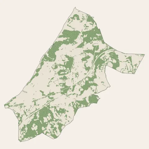 Bidart : bois, forêts et landes