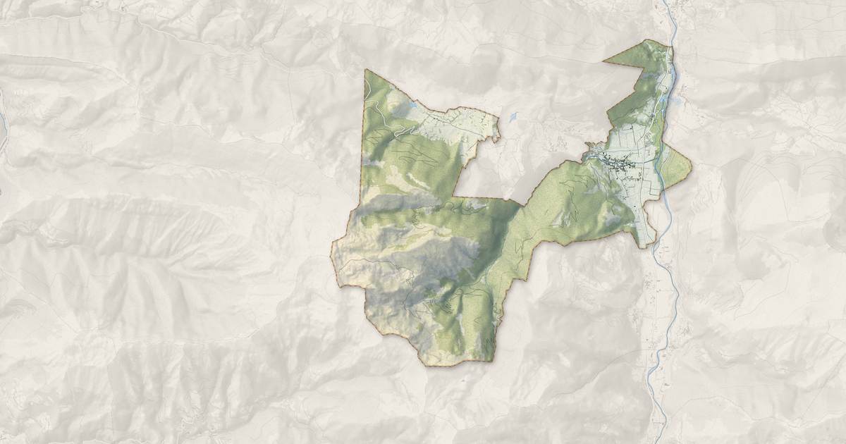 Portrait cartographique de Bielle : relief, eau, forêts, bâti et voies, calculés à partir des données de l'IGN