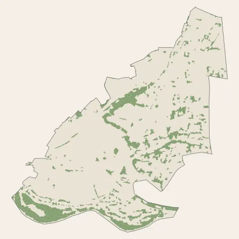 Billère : bois, forêts et landes