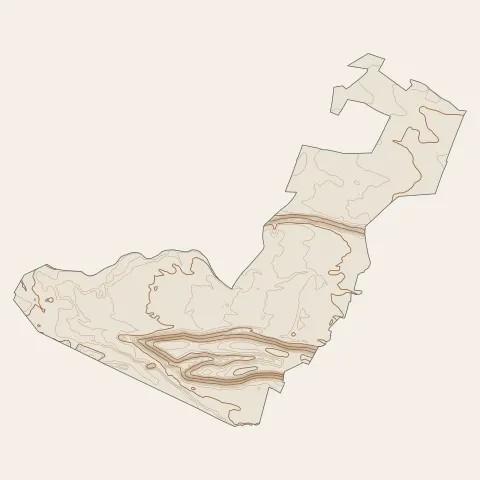 Bizanos : courbes de niveau