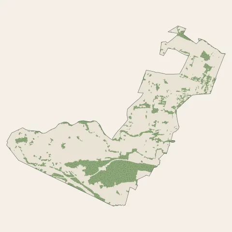 Bizanos : bois, forêts et landes