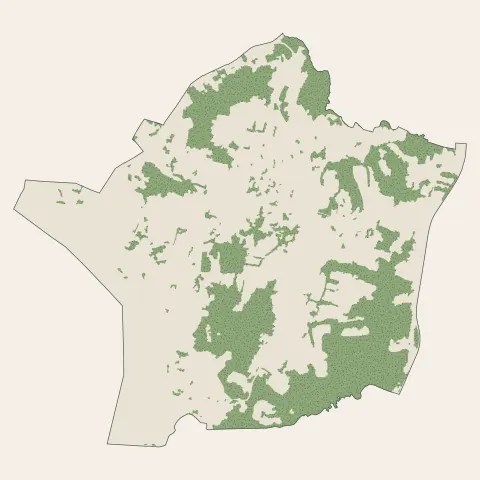 Boucau : bois, forêts et landes