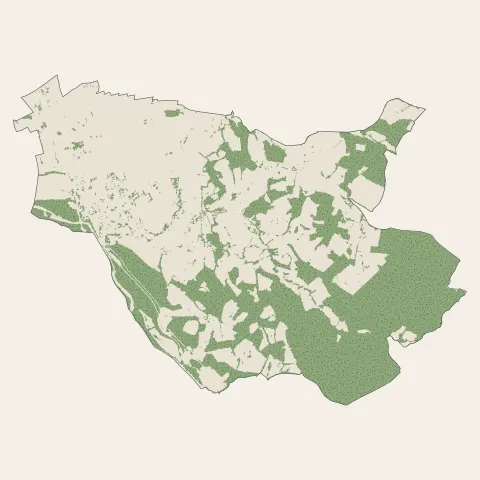 Coarraze : bois, forêts et landes